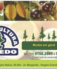 Fruticultura Toledo em Vargem Grande Paulista