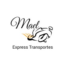 Mael Express Transportes – Entregas Rápidas E Moto Boy – Em Diadema SP