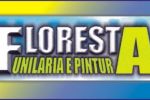 floresta-funilaria-e-pintura.jpg