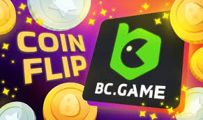 BC Fun Experience the Thrill of Online Gaming
