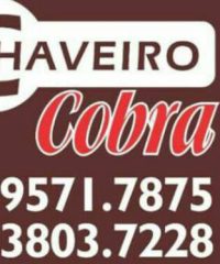 Chaveiro Cobra – Chaveiro Em Osasco, Barueri, Cotia, Alphavile, São Paulo E Grande São Paulo