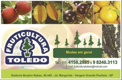 Fruticultura Toledo em Vargem Grande Paulista