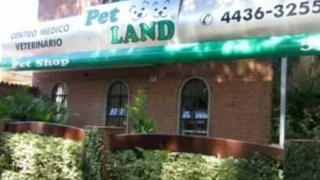 Veterinário em Santo André – Pet Land