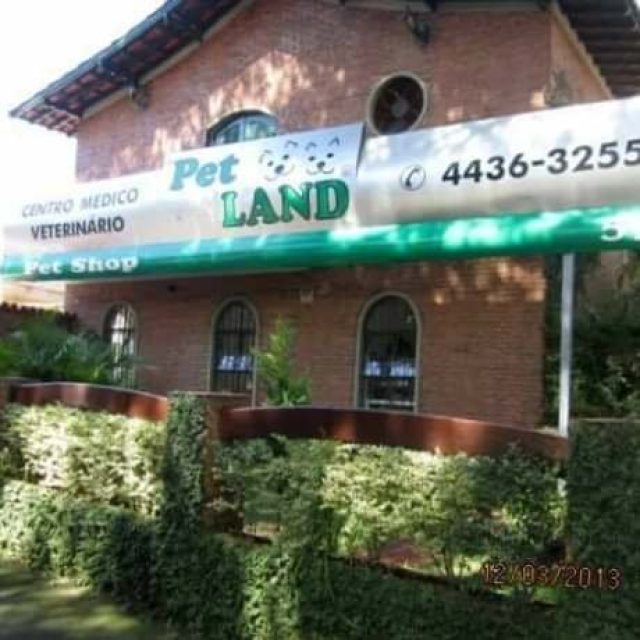 Veterinário em Santo André – Pet Land